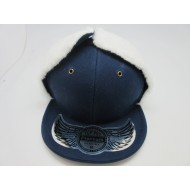 0812-06 Plain Dog Ear 1 NAVY
