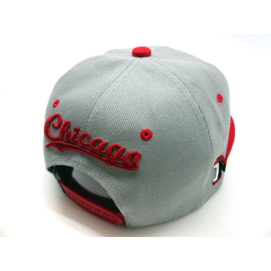 1402-07 MJ DRIBBLING SNAP BACK GRY/RED