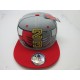 2101-19 MASTER 23 SNAP BACK GRY/RED