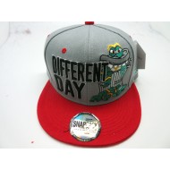 2104-07 DIFFERENT DAY SNAP BACK GRY/RED