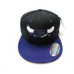 2301-19 CHICAGO 23 CITY SNAP BACK BLK/PUR