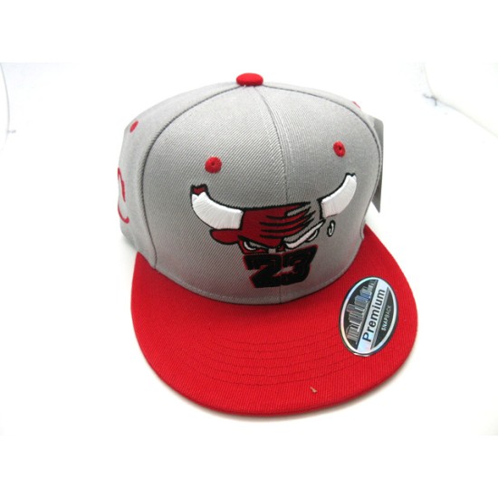 2301-19 CHICAGO 23 CITY SNAP BACK GRY/RED