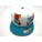2303-05 SNAP BACK "ASSETS " (1224) 